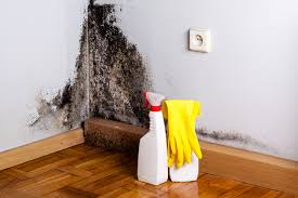 Mold Removal for HVAC Installations in Point Pleasant, WV